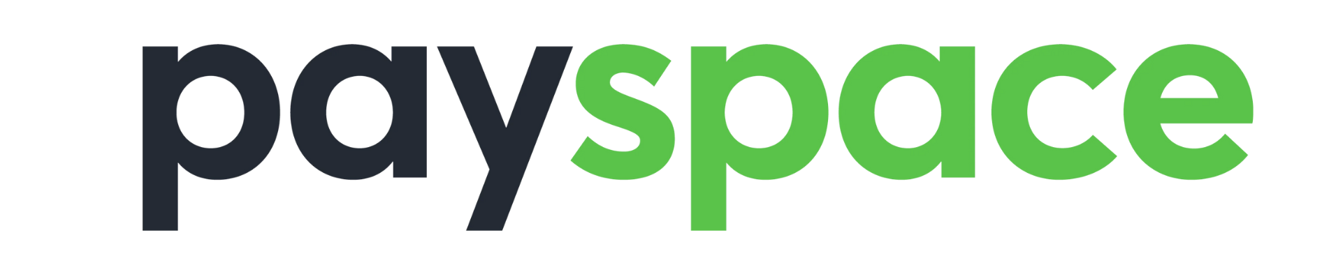 PaySpace Logo